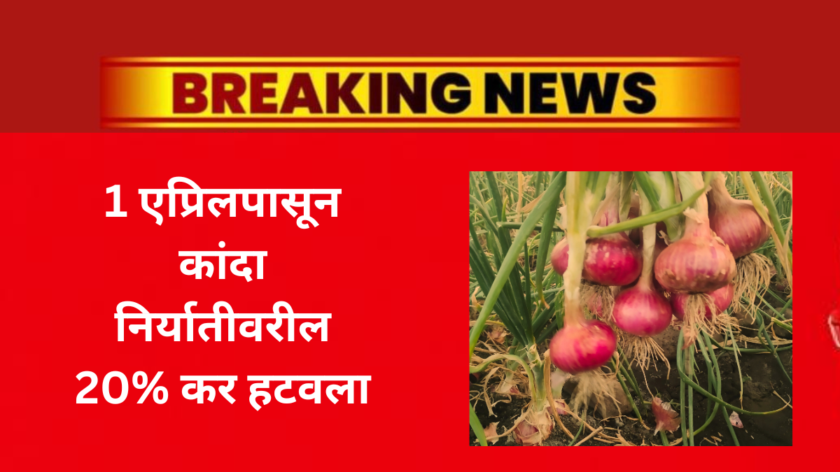 onion-export-tax-removed-india